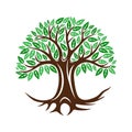 Round tree icon with leaves and roots. Royalty Free Stock Photo